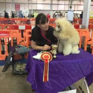 Dublin Dog Grooming