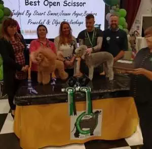 Carol Winning Best Overall Open Scissor at Madra Mania Championships 2022
