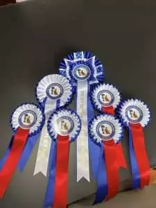 CaraKeane Poodles at Poodle Club of Ireland