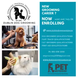 Become a dog groomer at Dublin Dog Grooming